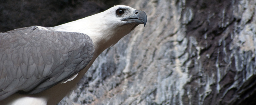 Dehiwala Zoo Colombo Sri Lanka