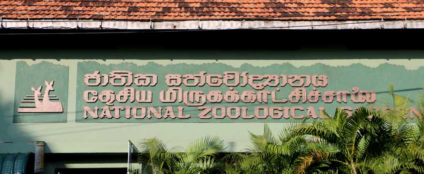 Dehiwala Zoo Colombo Sri Lanka