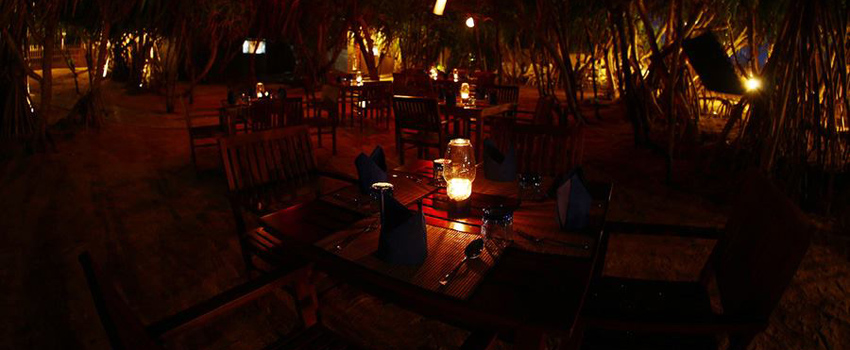 Barracuda Sea Food & Grill